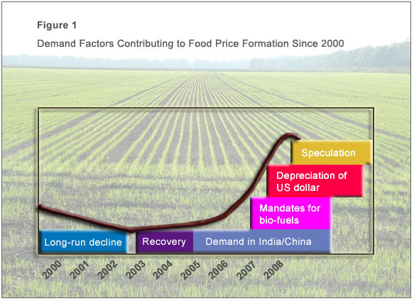 Timmer global food shortages figure 1